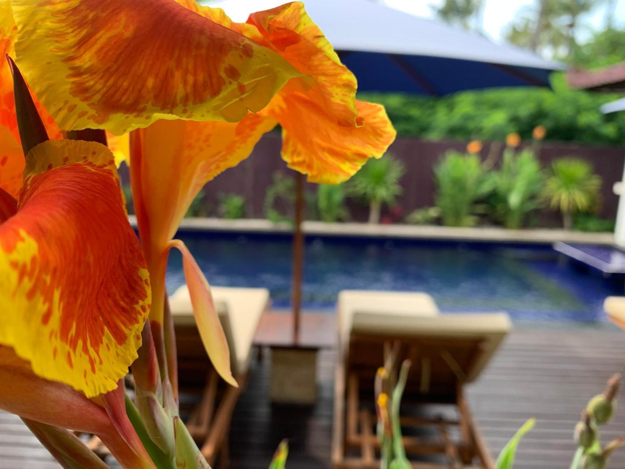 Relax Villas גילי אייר מראה חיצוני תמונה